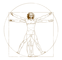 DIE S.I.C.H.T. Seminare sind inspiriert durch Leonardo da Vinci